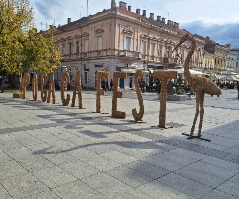 Manifestacija „Pogača fest“ 2025.