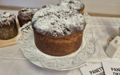 PANETTONE S OKUSOM MOG ZAVIČAJA